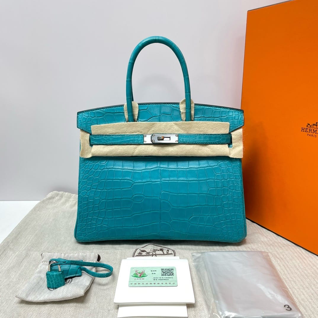 Birkin 30 Matt Croc